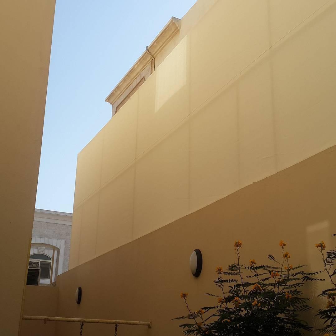 WhatsApp Image 2025-02-19 at 1.17